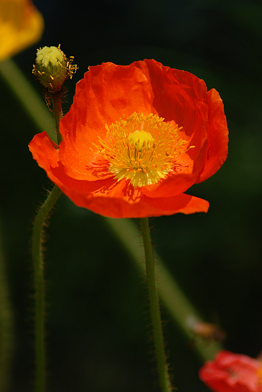 DSC_0403s.jpg