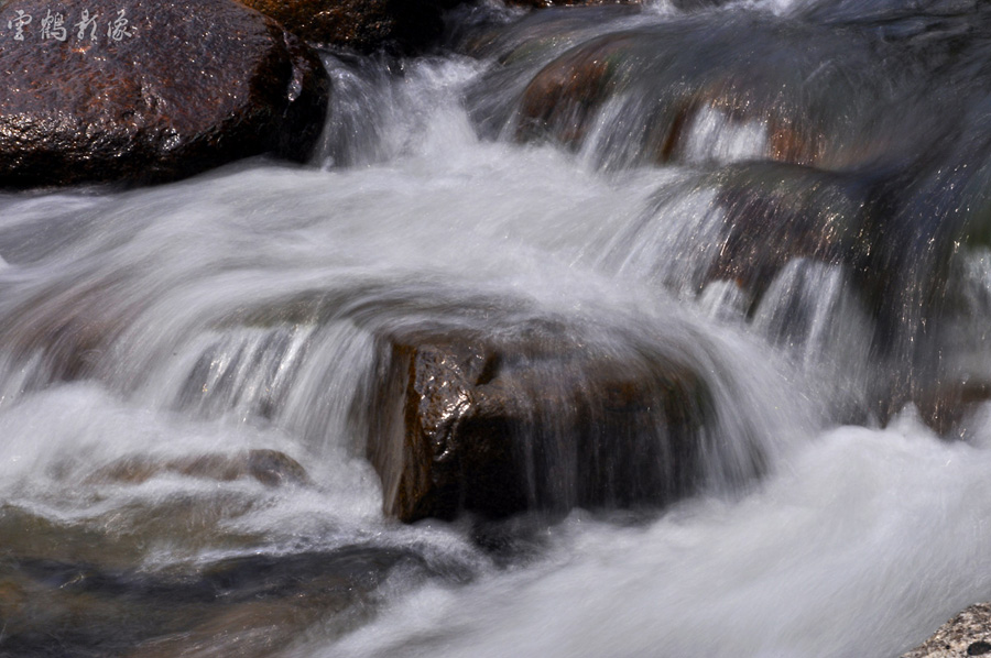 _DSC1880.jpg