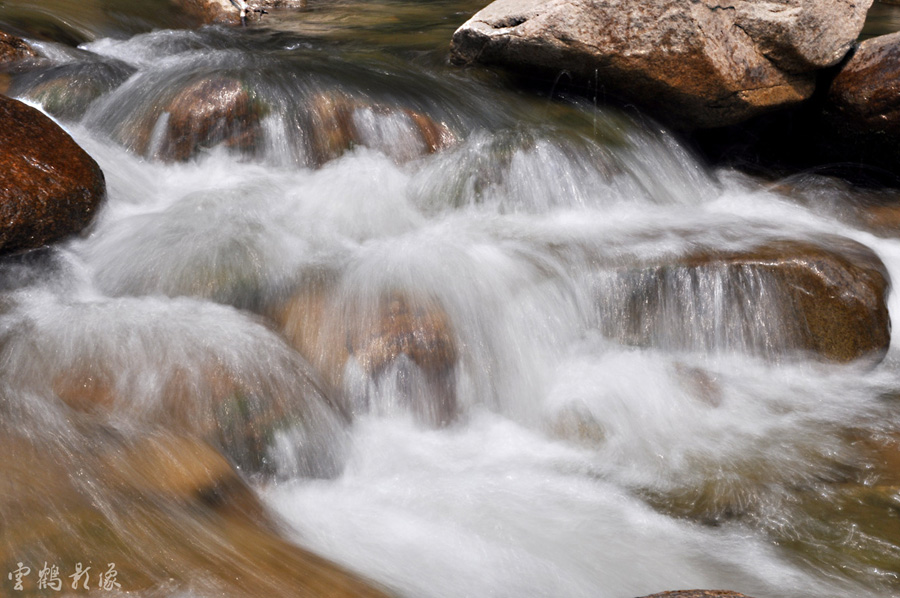 _DSC1884.jpg