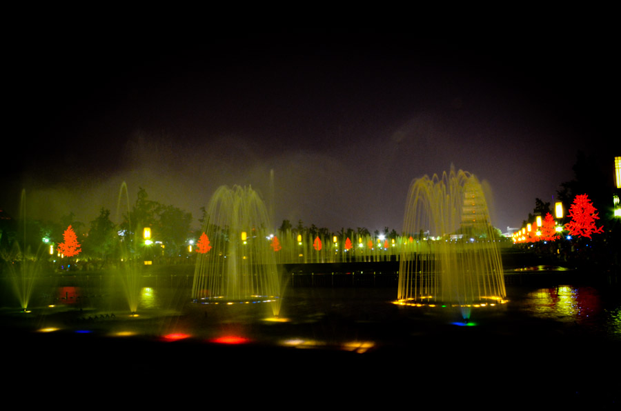 DSC_0546.jpg