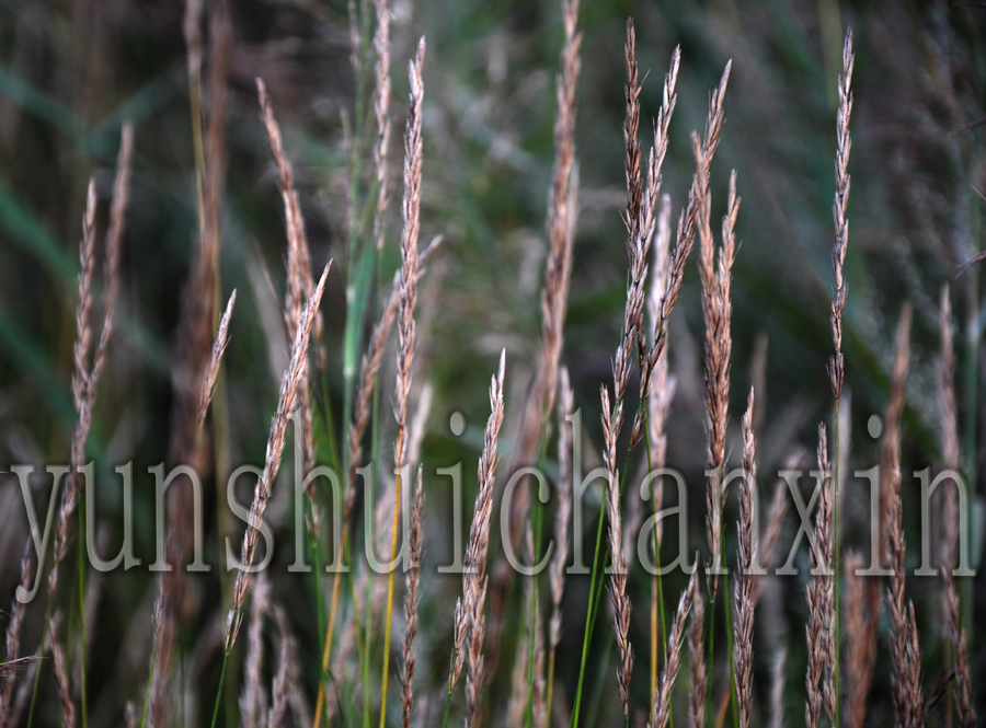 DSC_0069.JPG