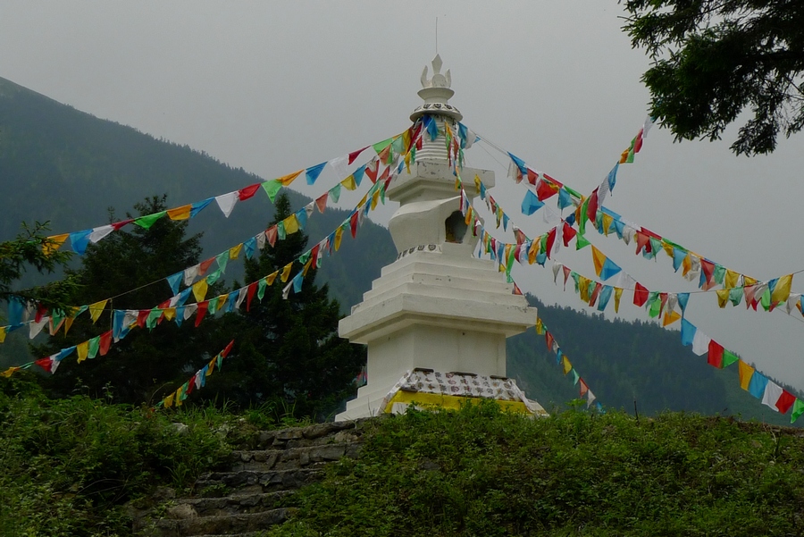 风景 (8).JPG