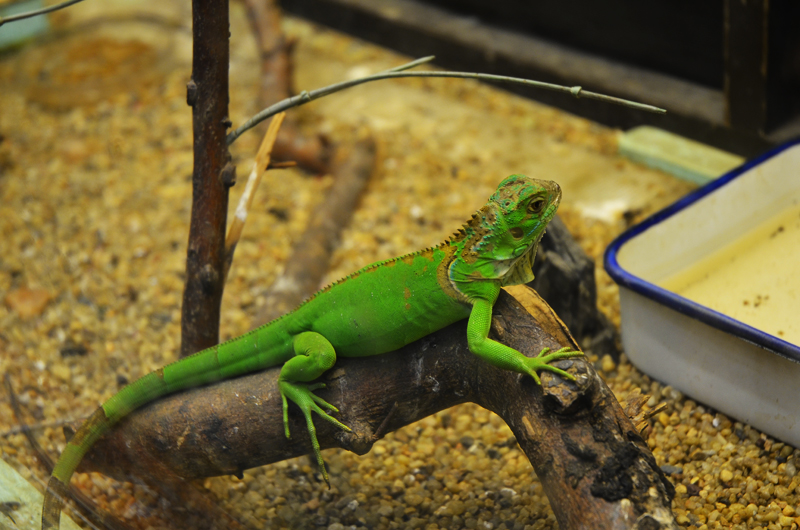 DSC_0648.jpg
