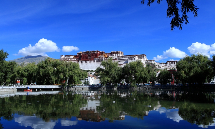 DPP_0064.JPG