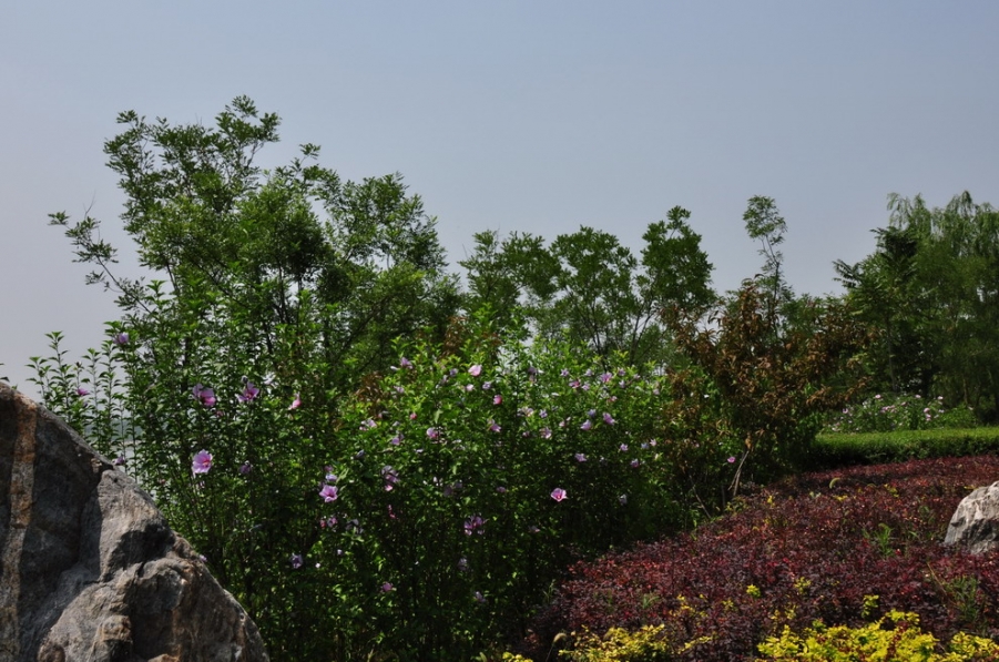DSC_2475_8407.jpg