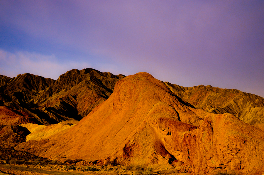 DSC_0429.jpg