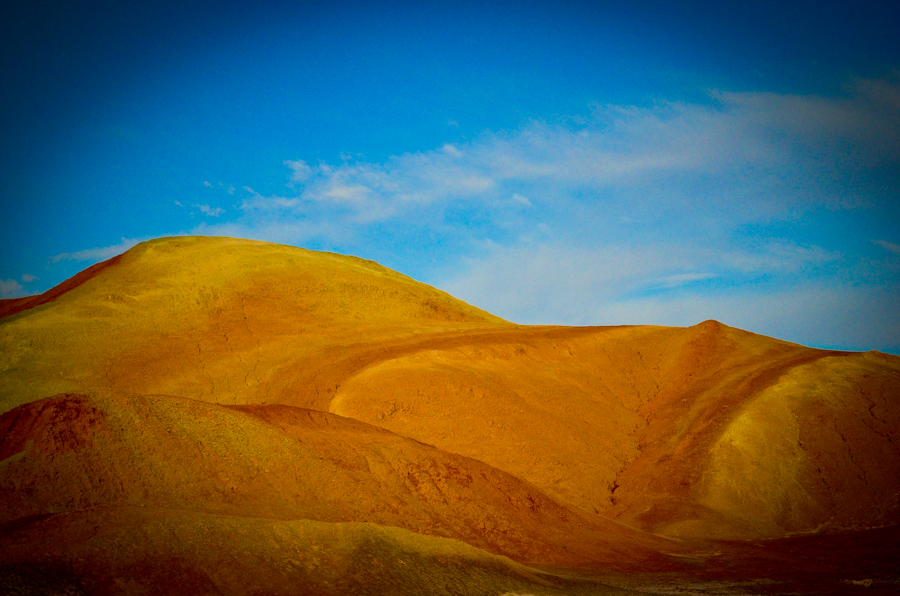 DSC_0462.jpg