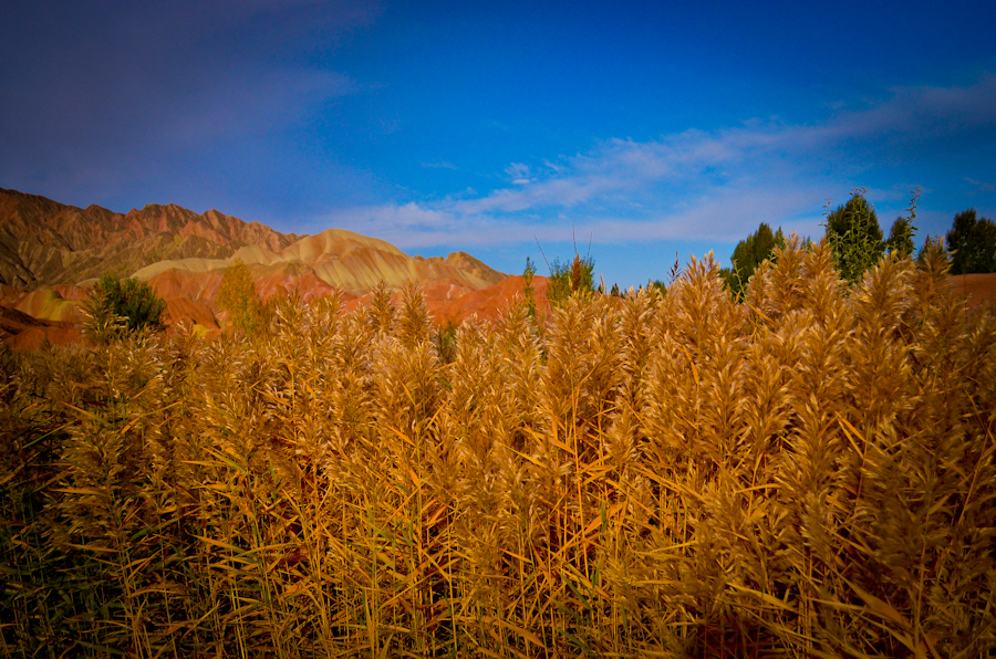 DSC_0463.jpg