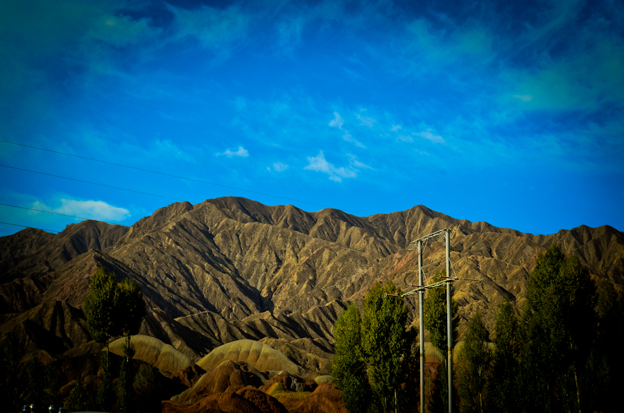 DSC_0509.jpg