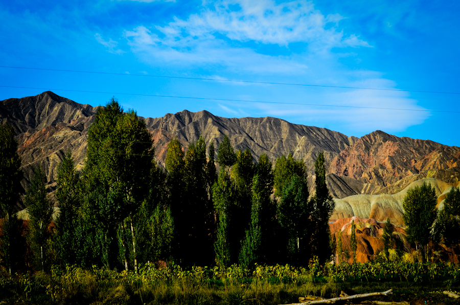 DSC_0511.jpg