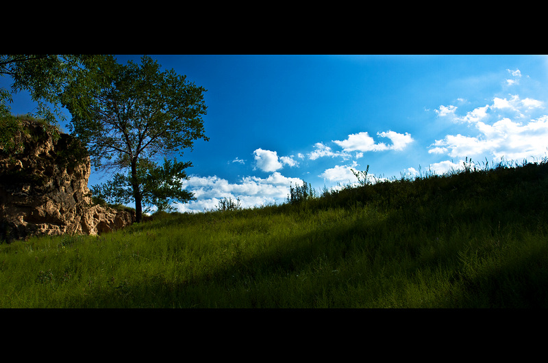 _MG_9467.jpg