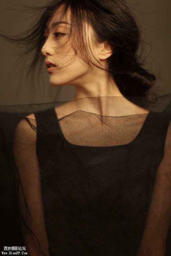 czi01-560x840.jpg