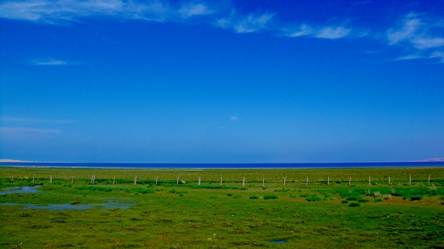 DSC03175.jpg