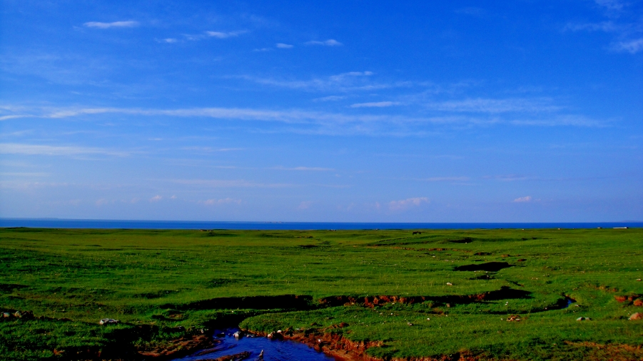 DSC03205.jpg