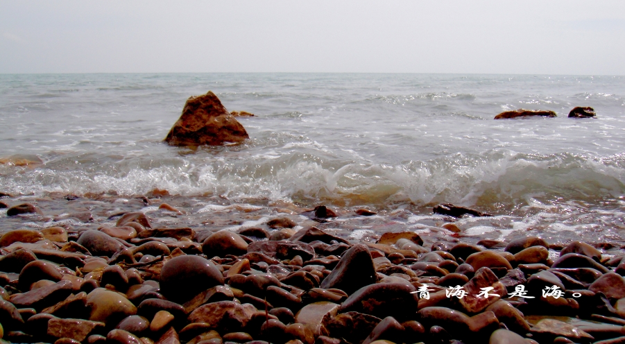 DSC03218.jpg