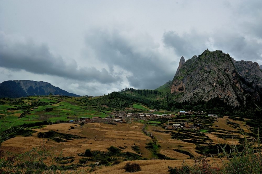 DSC_3599.jpg