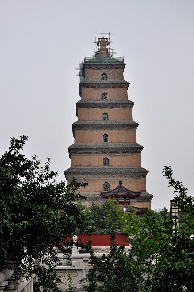 DSC_0543-2.JPG