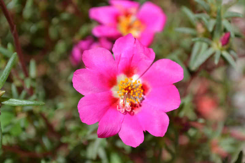 DSC_0102.jpg