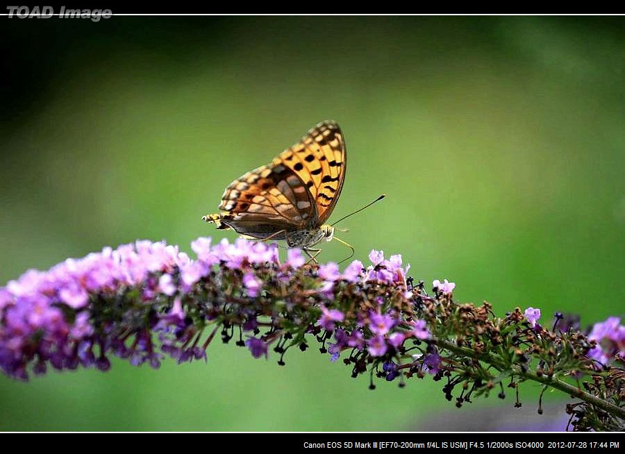 nEO_IMG_BV6A0279.jpg