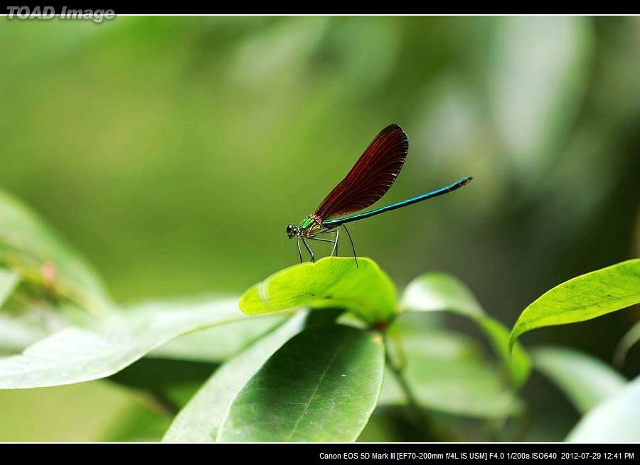 nEO_IMG_BV6A0590.jpg