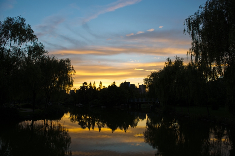 DSC_2288.jpg