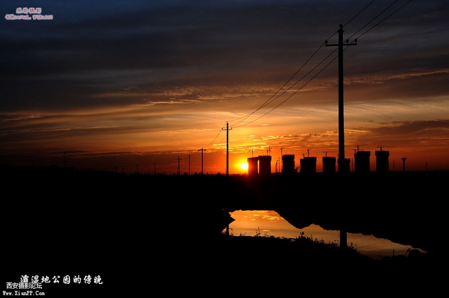 DSC_5805.jpg