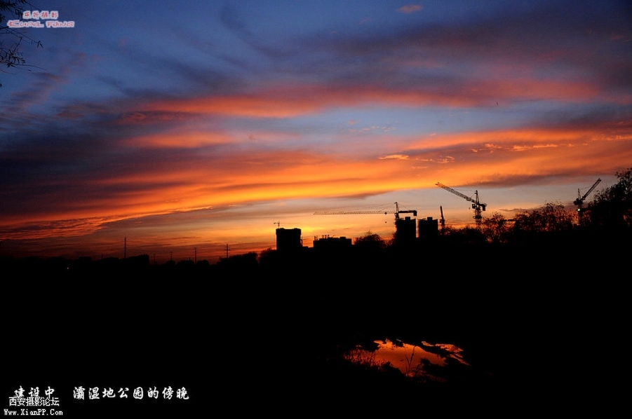 DSC_5829.jpg