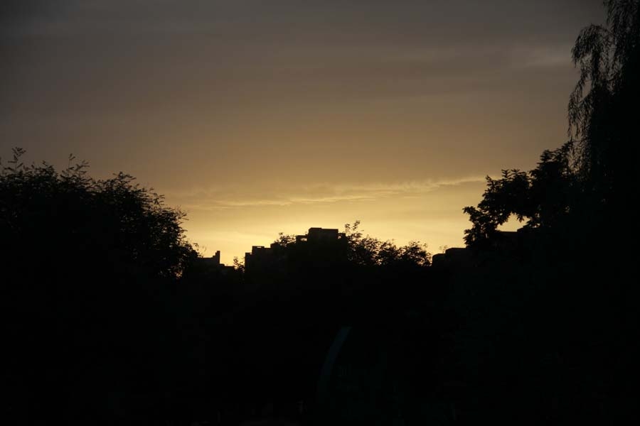 IMG_7611.JPG