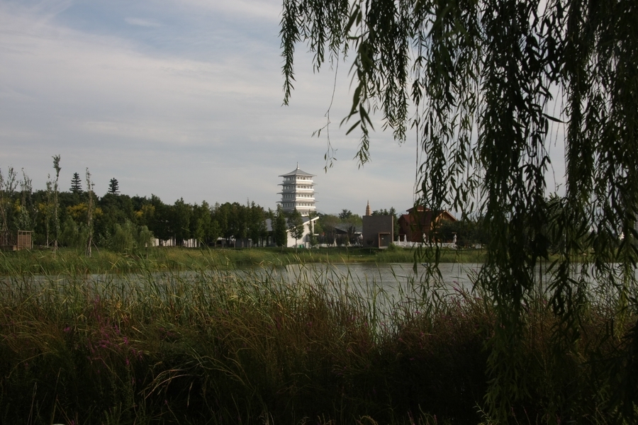 IMG_1707.JPG