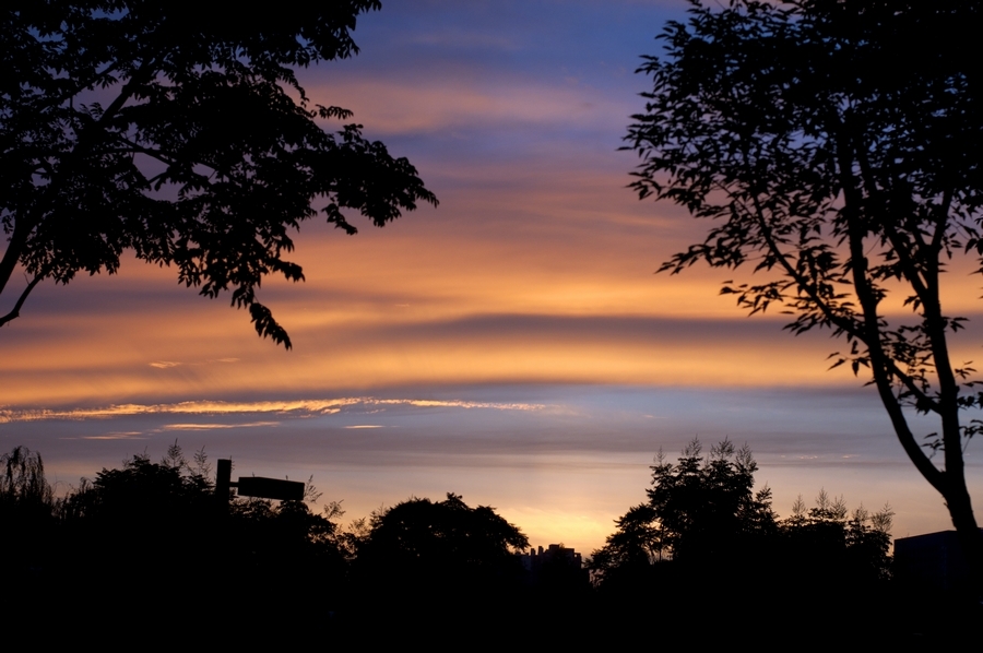 DSC_1116副.jpg