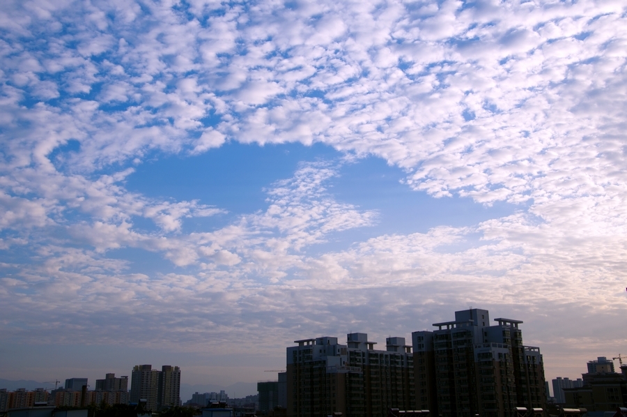 DSC_1154副.jpg