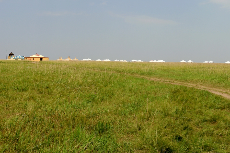 _MG_3555.JPG