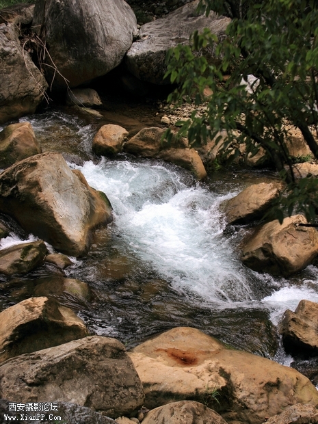0902湖北600d 小刘43.jpg