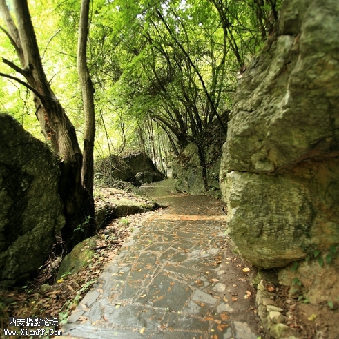 0902湖北5d226.jpg