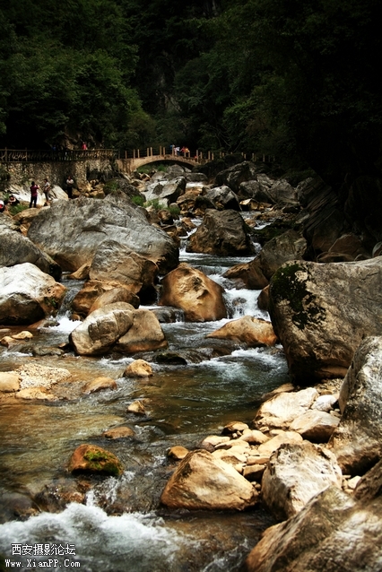 0902湖北5d247.jpg