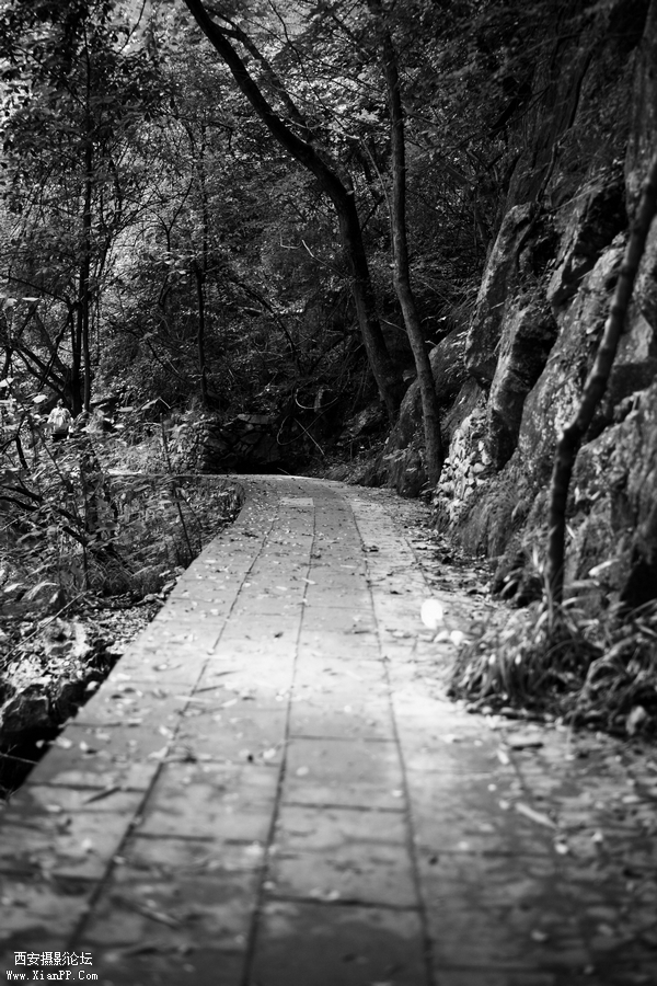 0902湖北5d250.jpg
