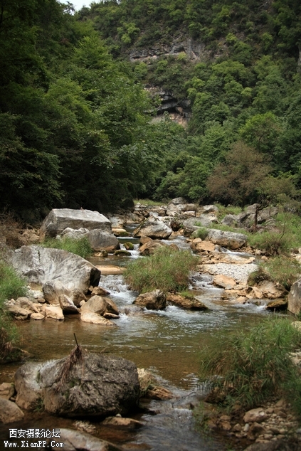 0902湖北5d296.jpg