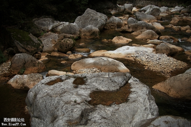 0902湖北5d297.jpg