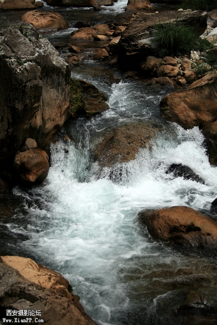 0902湖北5d2119.jpg