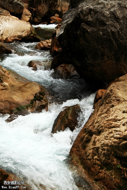 0902湖北5d2122.jpg