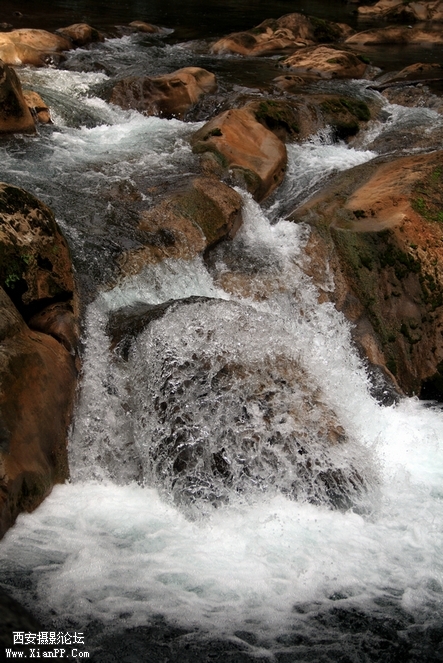 0902湖北5d2124.jpg