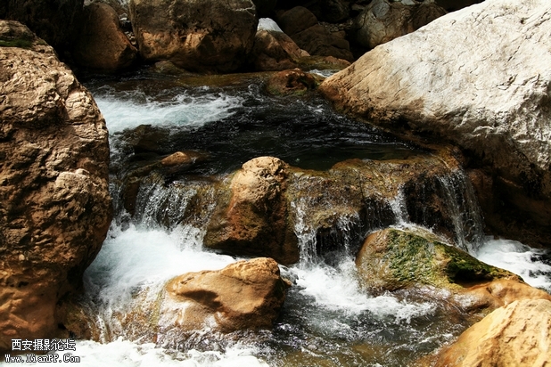 0902湖北5d2126.jpg