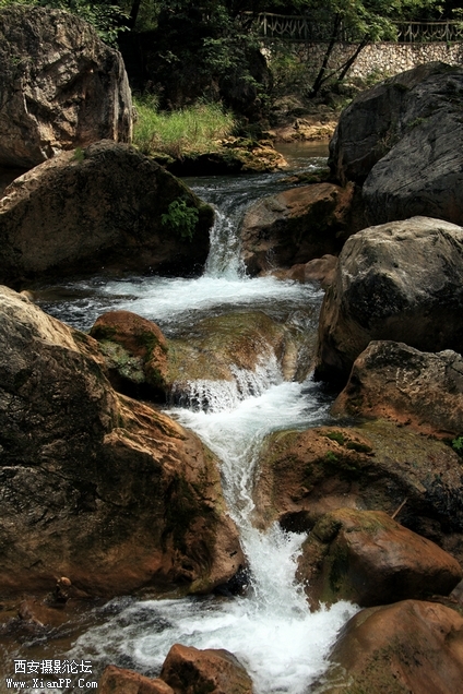 0902湖北5d2127.jpg