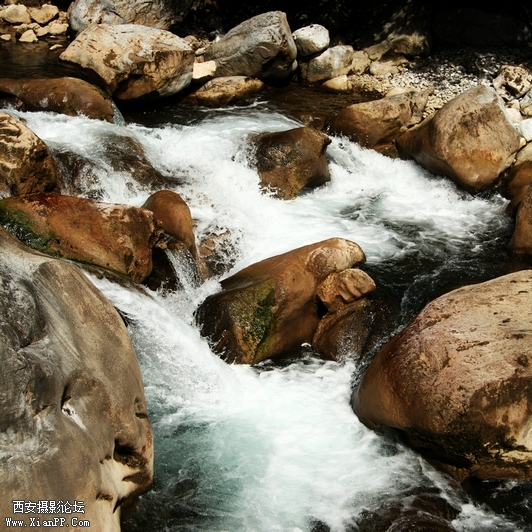 0902湖北5d2147.jpg