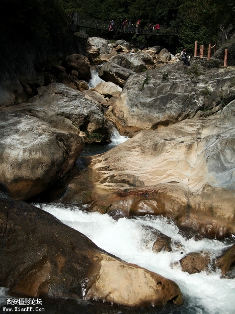 0902湖北5d2153.jpg