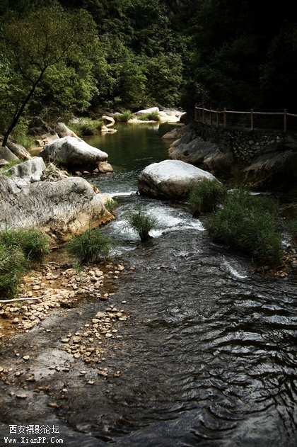 0902湖北5d2154.jpg