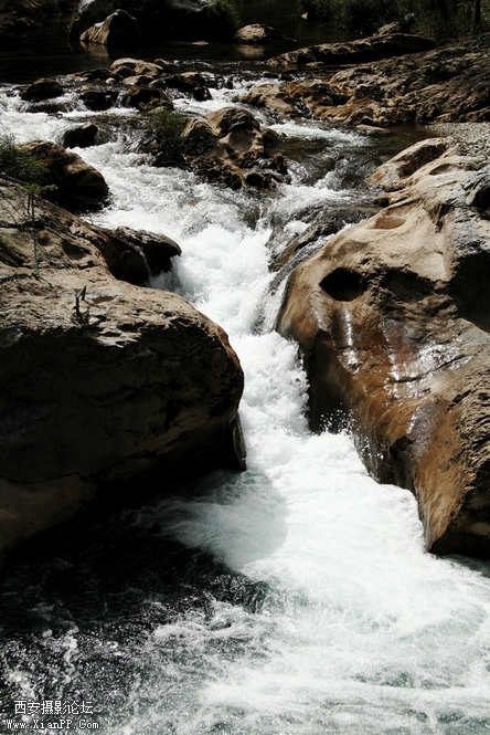0902湖北5d2164.jpg