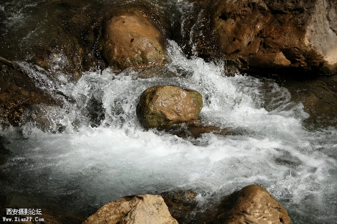 0902湖北5d2185.jpg
