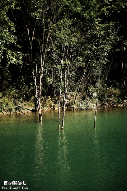 0902湖北5d2189.jpg