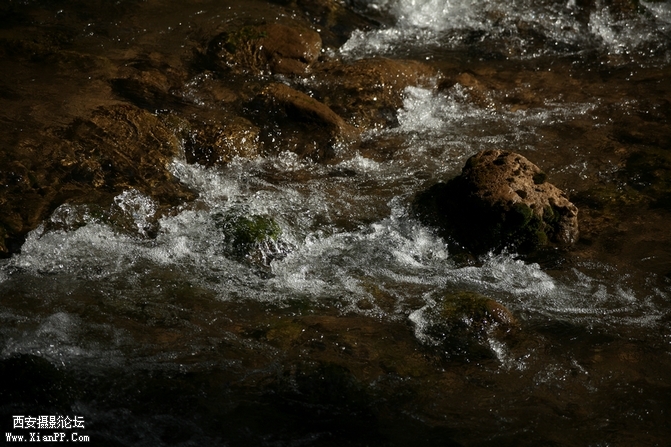 0902湖北5d2194.jpg